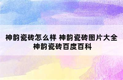 神韵瓷砖怎么样 神韵瓷砖图片大全 神韵瓷砖百度百科